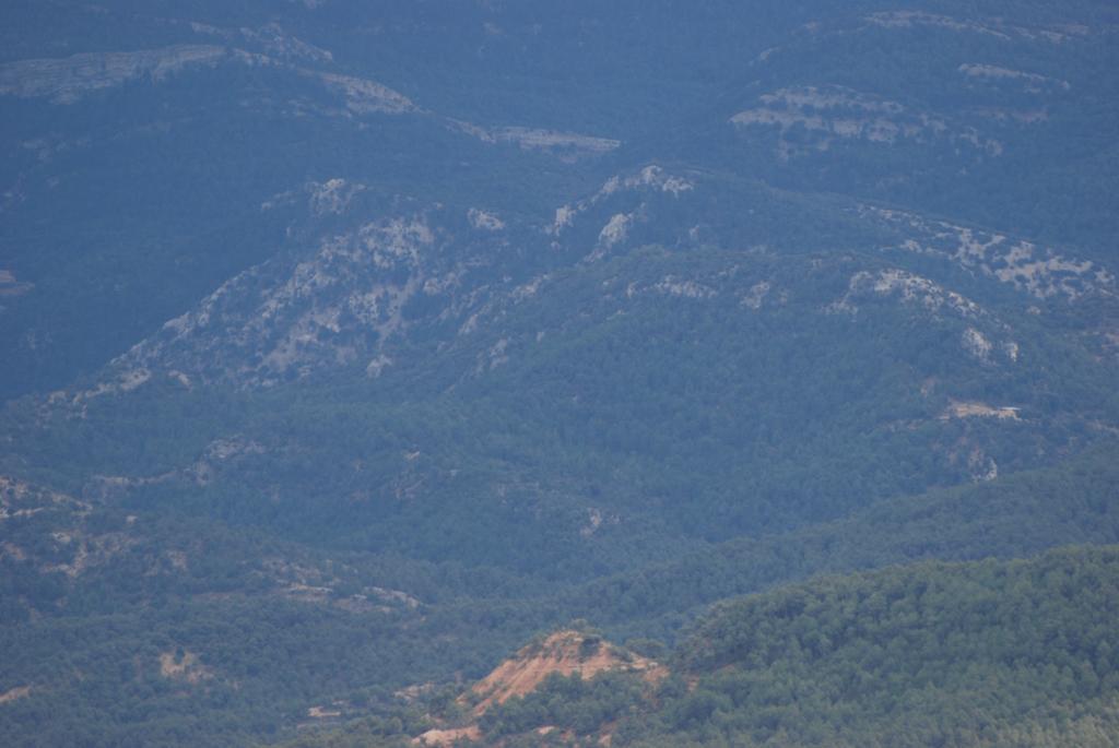 Masia De La Serra De La Cogulla Peñarroya de Tastavins Eksteriør bilde